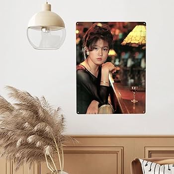 中森明菜ポスター① ブリキ看板 アイドル ウォールデコレーション メタルプレート Amazon.co.jp: 【昭和の風情】中森明菜 懐かし 写真 鉄板